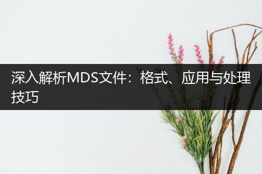 深入解析MDS文件：格式、应用与处理技巧