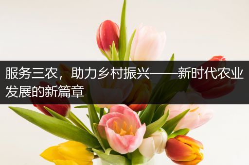 服务三农，助力乡村振兴——新时代农业发展的新篇章