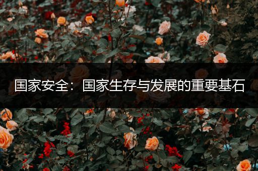 国家安全：国家生存与发展的重要基石