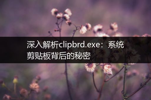 深入解析clipbrd.exe：系统剪贴板背后的秘密