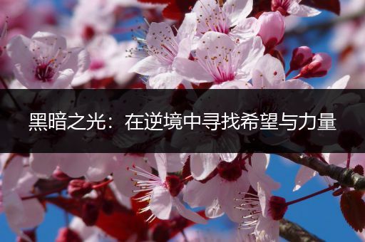 黑暗之光：在逆境中寻找希望与力量