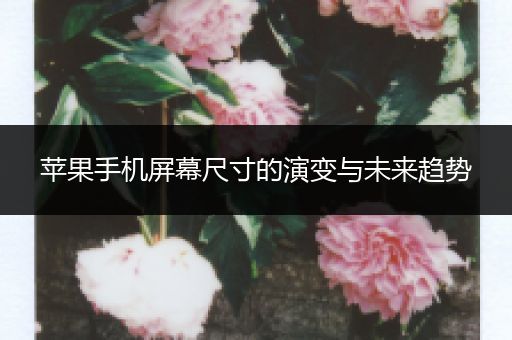 苹果手机屏幕尺寸的演变与未来趋势