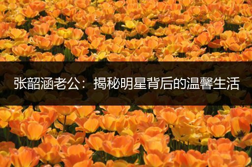 张韶涵老公：揭秘明星背后的温馨生活