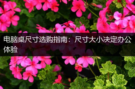 电脑桌尺寸选购指南：尺寸大小决定办公体验