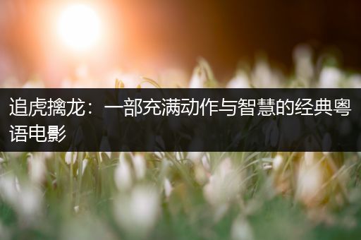 追虎擒龙：一部充满动作与智慧的经典粤语电影