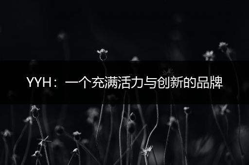 YYH：一个充满活力与创新的品牌