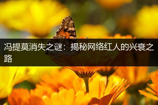 冯提莫消失之谜:揭秘网络红人的兴衰之路