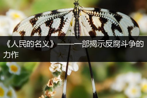 《人民的名义》——一部揭示反腐斗争的力作