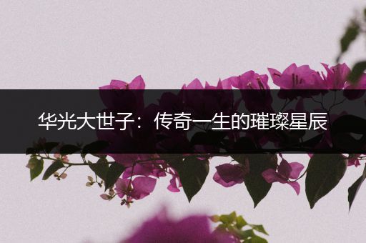 华光大世子：传奇一生的璀璨星辰