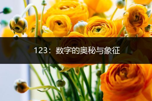 123：数字的奥秘与象征
