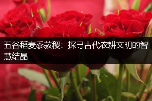 五谷稻麦黍菽稷：探寻古代农耕文明的智慧结晶