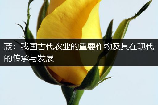 菽：我国古代农业的重要作物及其在现代的传承与发展