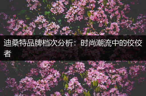 迪桑特品牌档次分析：时尚潮流中的佼佼者