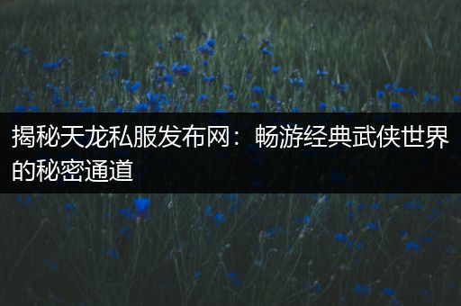 揭秘天龙私服发布网:畅游经典武侠世界的秘密通道