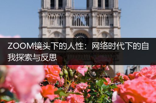 ZOOM镜头下的人性:网络时代下的自我探索与反思