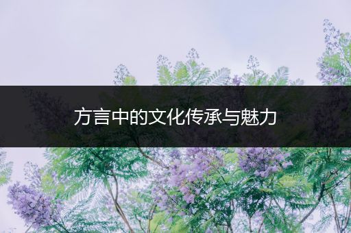 方言中的文化传承与魅力