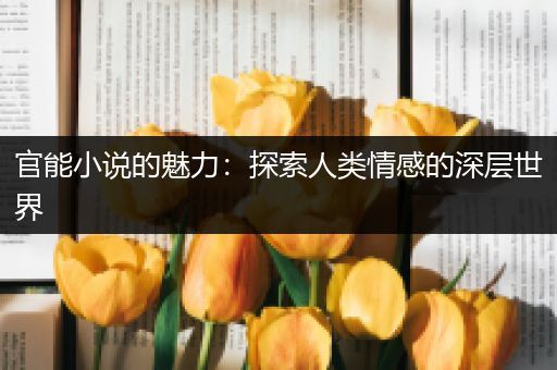 官能小说的魅力：探索人类情感的深层世界