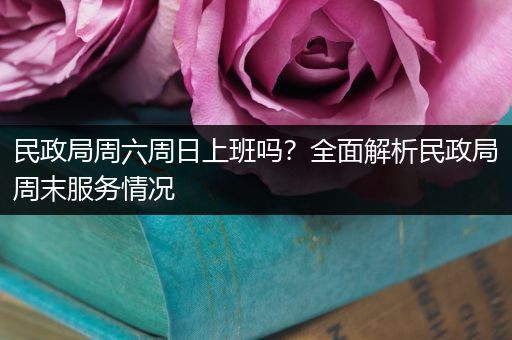 民政局周六周日上班吗？全面解析民政局周末服务情况
