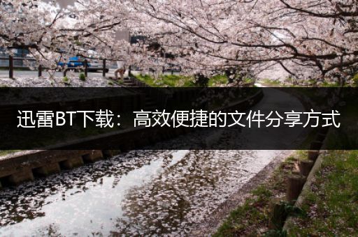 迅雷BT下载：高效便捷的文件分享方式