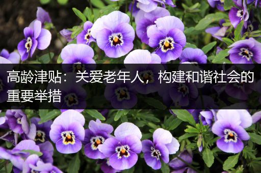 高龄津贴：关爱老年人，构建和谐社会的重要举措