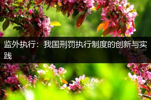 监外执行：我国刑罚执行制度的创新与实践