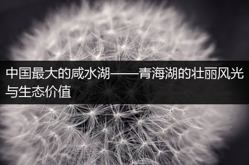 中国最大的咸水湖——青海湖的壮丽风光与生态价值