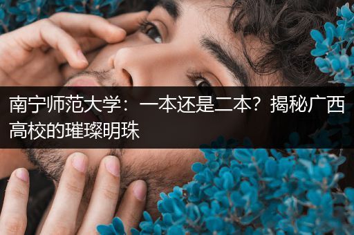 南宁师范大学:一本还是二本?揭秘广西高校的璀璨明珠