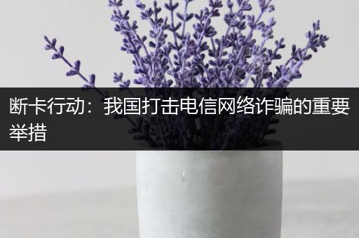 断卡行动：我国打击电信网络诈骗的重要举措