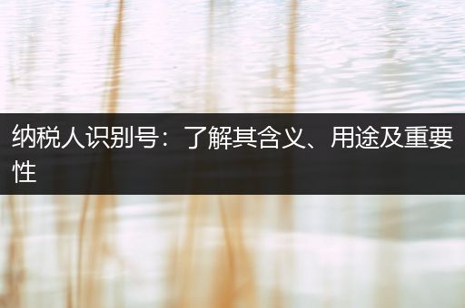纳税人识别号：了解其含义、用途及重要性