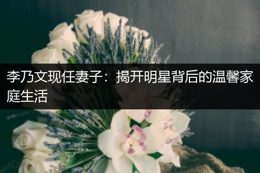 李乃文现任妻子：揭开明星背后的温馨家庭生活