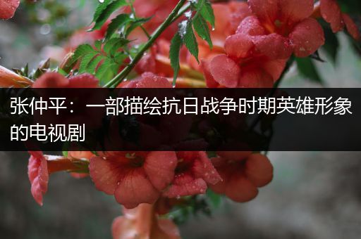 张仲平：一部描绘抗日战争时期英雄形象的电视剧
