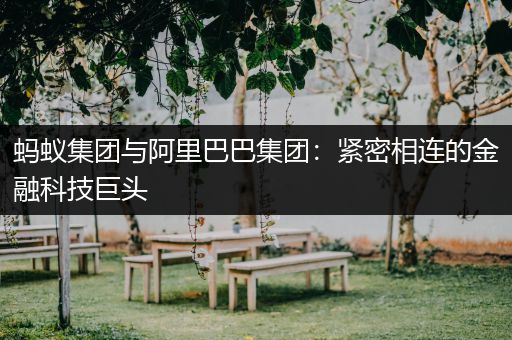 蚂蚁集团与阿里巴巴集团：紧密相连的金融科技巨头