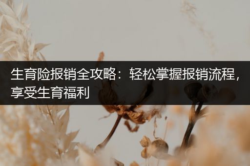 生育险报销全攻略：轻松掌握报销流程，享受生育福利