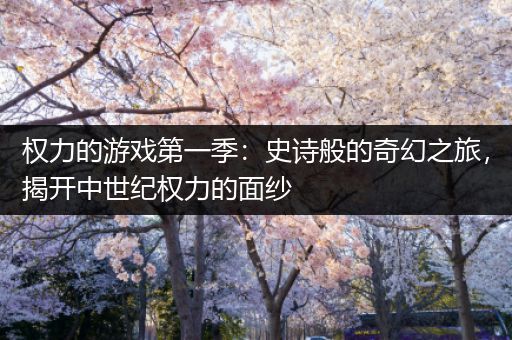 权力的游戏第一季：史诗般的奇幻之旅，揭开中世纪权力的面纱