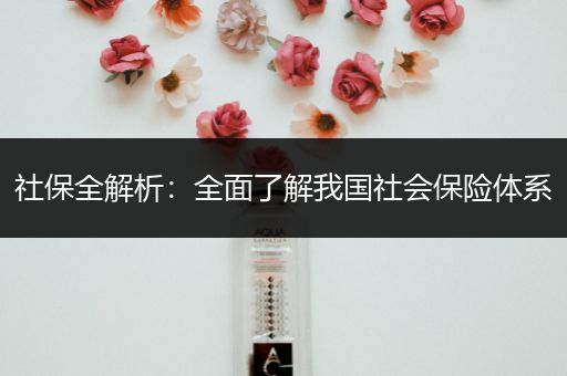 社保全解析：全面了解我国社会保险体系
