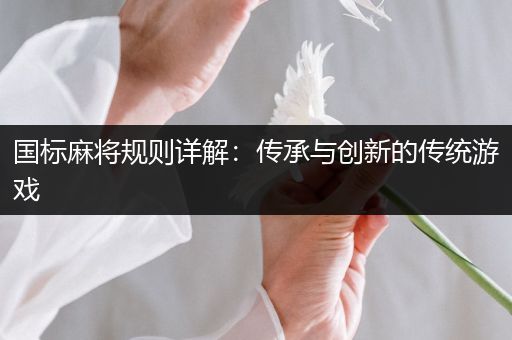 国标麻将规则详解：传承与创新的传统游戏