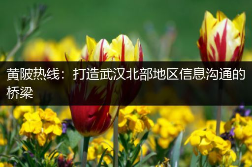 黄陂热线：打造武汉北部地区信息沟通的桥梁