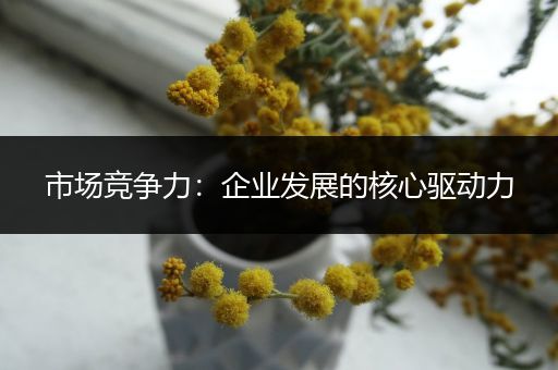 市场竞争力：企业发展的核心驱动力