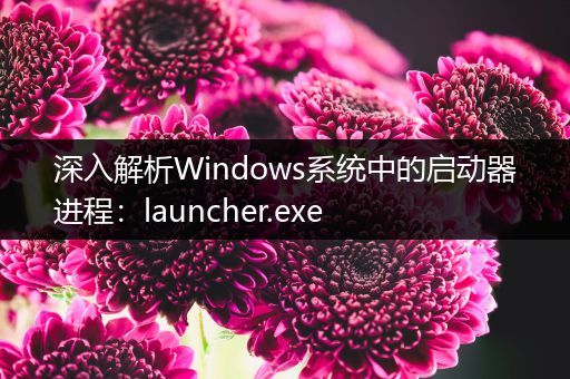 深入解析Windows系统中的启动器进程：launcher.exe