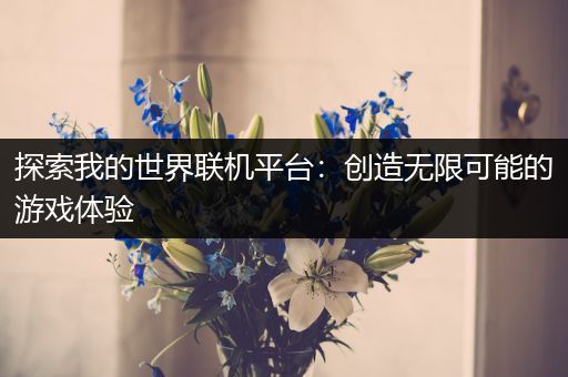 探索我的世界联机平台：创造无限可能的游戏体验