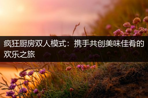 疯狂厨房双人模式：携手共创美味佳肴的欢乐之旅