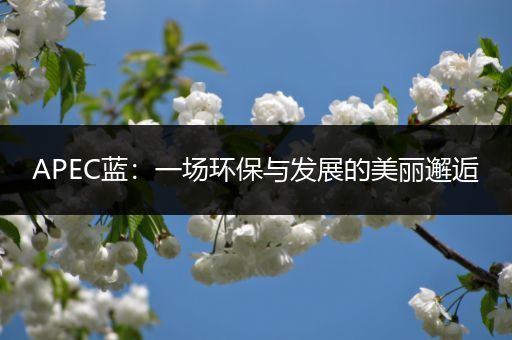 APEC蓝：一场环保与发展的美丽邂逅