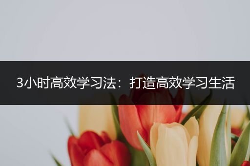 3小时高效学习法：打造高效学习生活