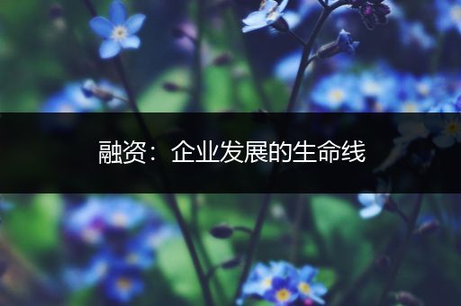 融资：企业发展的生命线