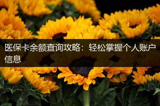 医保卡余额查询攻略：轻松掌握个人账户信息
