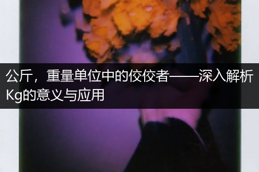 公斤，重量单位中的佼佼者——深入解析Kg的意义与应用