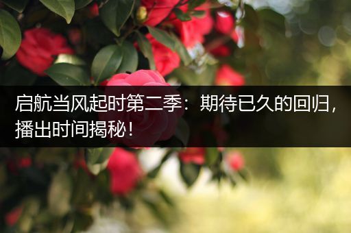 启航当风起时第二季：期待已久的回归，播出时间揭秘！