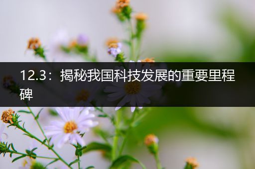12.3：揭秘我国科技发展的重要里程碑