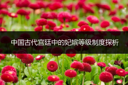 中国古代宫廷中的妃嫔等级制度探析