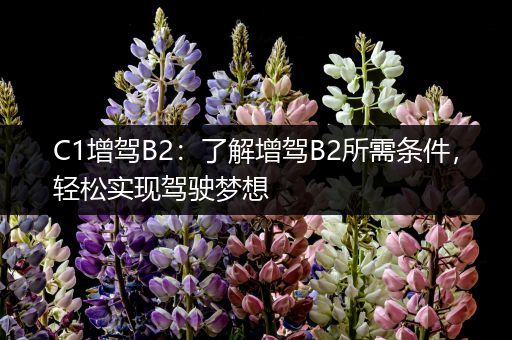 C1增驾B2：了解增驾B2所需条件，轻松实现驾驶梦想